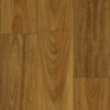 Titanguard Alpine Gum