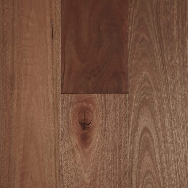 Fiddleback Spotted Gum Smooth Matte Engineered Timber Flooring