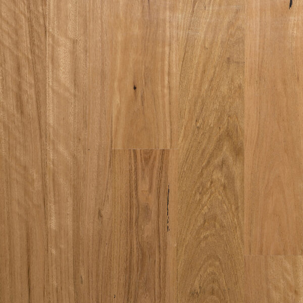 Select Australian Timber MB Blackbutt Engineered Timber Flooring