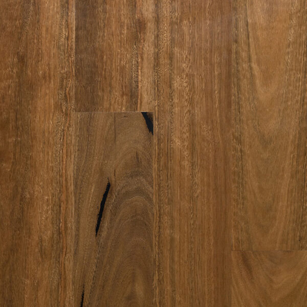 Select Australian Timber MB Spotted Gum Engineered Timber Flooring