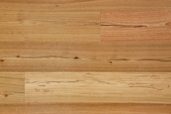 Sunstar Australian Hardwood 136mm Spotted Gum Feature Brush Finish engineered timber flooring