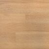 Authentic Hybrid European Oak
