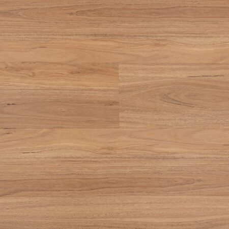 Sunstar Maxi Hybrid Blackbutt hybrid flooring