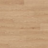 Clever Choice Classic Profuse Jacaranda