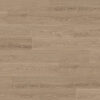 Clever Choice Classic Profuse Lomandra