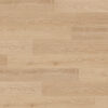 Clever Choice Classic Profuse Banksia