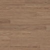 Clever Choice Hydro Merit Golden Sapphire Spotted Gum
