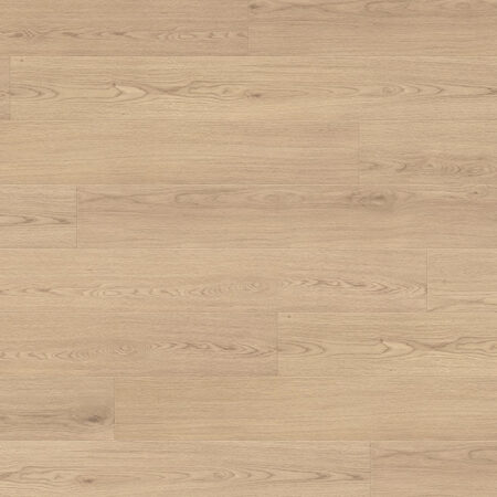Clever Choice Hydro Merit Jade Forest 12mm laminate flooring board