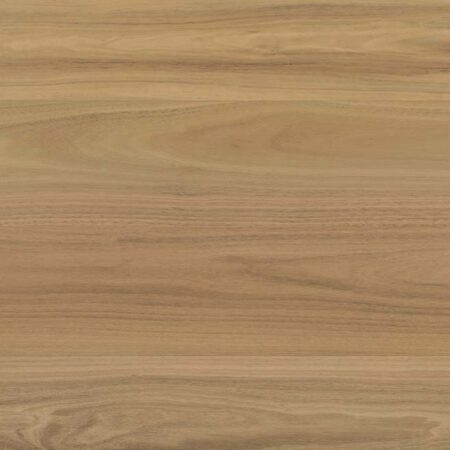 Clever Choice Shield Everlast Atlantic Blackbutt Laminate Flooring