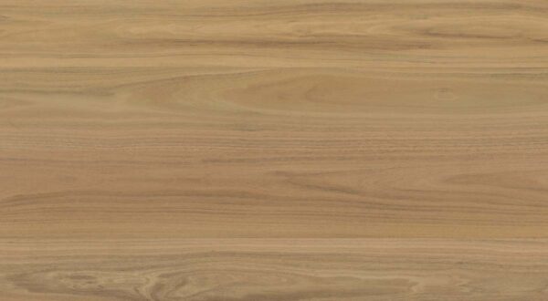 Clever Choice Shield Everlast Atlantic Blackbutt Laminate Flooring