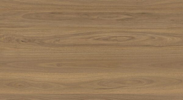 Clever Choice Shield Everlast Atlantic Spotted Gum Laminate Flooring