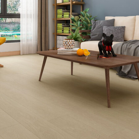 Clever Choice Shield Everlast Coffee Bean Trivia 10mm laminate flooring board