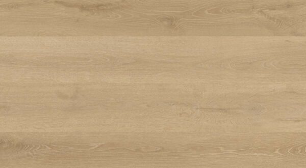 Clever Choice Shield Everlast Sunrise Tellin flooring in a room setting