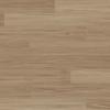Clever Choice Voyager Andromeda Blackbutt