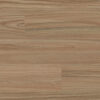 Clever Choice Enchanted Hylia Blackbutt