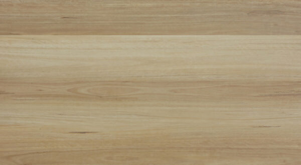 Clever Choice Superior Coastal Blackbutt Hybrid Flooring