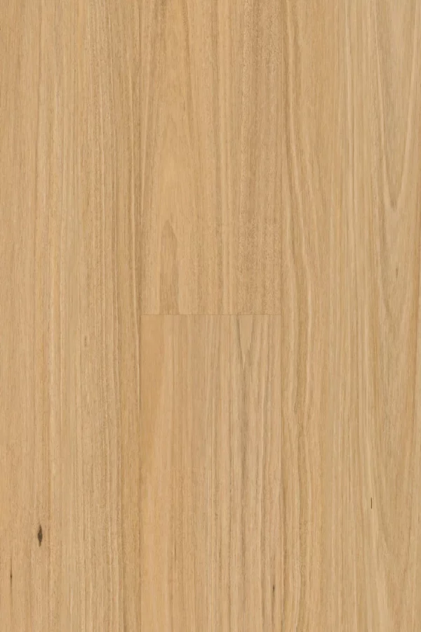 Topdeck Pantora Amor Collection Blackbutt Laminate Flooring