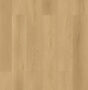 Dunlop Forestbrook Collection Woodland
