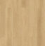 Dunlop Forestbrook Collection Oakridge