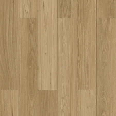 Dunlop Forestbrook Collection Coastal Blackbutt laminate flooring