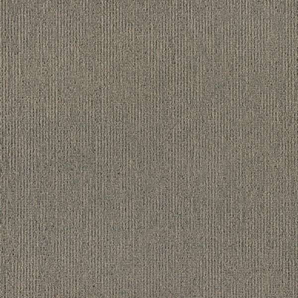 Airlay Elegance Collection Putty Carpet Tile
