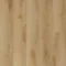 Embelton Paperbark