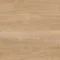 Karndean Van Gogh Gluedown Birch Vinyl Tile