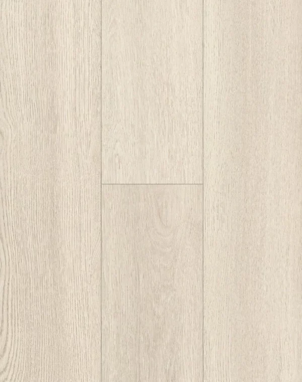 Paco Floors CAS Shell Laminates Flooring