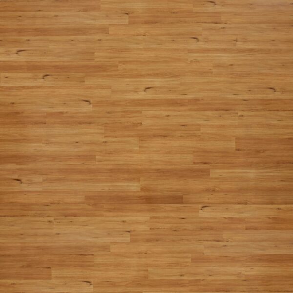 Eucalyptus Steps Gloss Collection Blackbutt Laminate Flooring