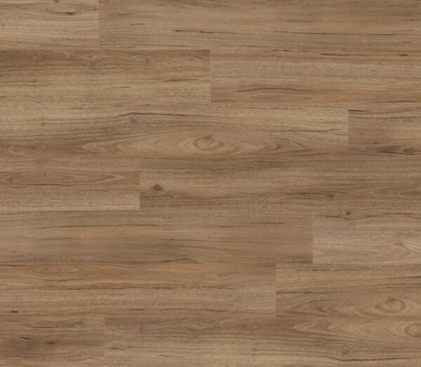 Sunstar Maxi Vinyl Collection Coastal Spotted Gum vinyl plank flooring
