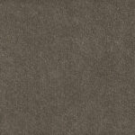 Belgotex Sheer Bliss Gucci Carpet