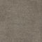 Belgotex Sheer Bliss Leather Carpet