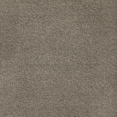 Belgotex Sheer Bliss Leather carpet