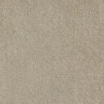 Belgotex Sheer Bliss Warm Neutral Carpet