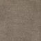 Belgotex Sumptuous Elite Carpet