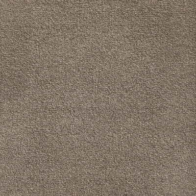 Belgotex Sumptuous Elite carpet