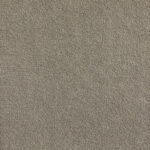 Belgotex Sumptuous Luxe Carpet
