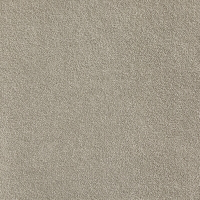 Belgotex Sumptuous Pearl carpet
