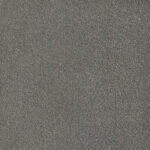 Belgotex Sumptuous Platinum Carpet