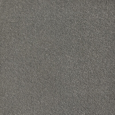 Belgotex Sumptuous Platinum carpet