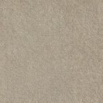 Belgotex Sumptuous Royal Beige Carpet