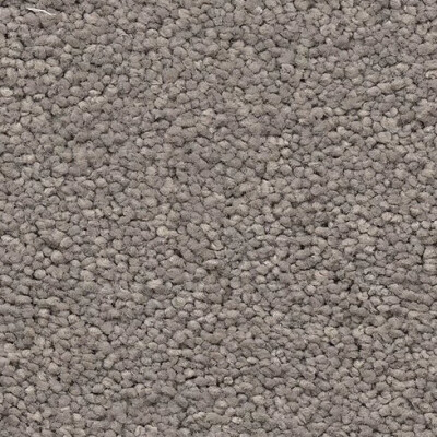 Belgotex Belle Ascot carpet