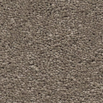 Belgotex Belle Mosman carpet