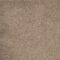 Belgotex Deep Obsession Taupe Carpet