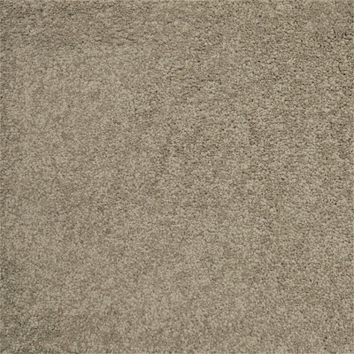 Belgotex First Sensation Agate carpet
