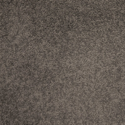 Belgotex First Sensation Zircon carpet