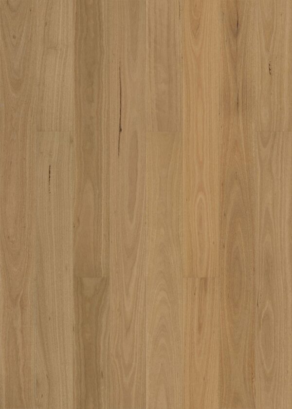 Wonderwood Smooth Blackbutt Engineered Timber Flooring