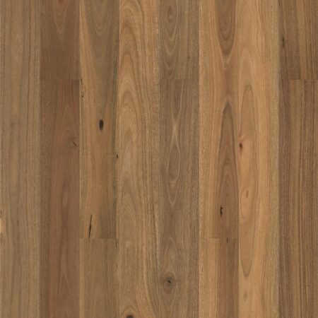 Wonderwood Smooth Spotted Gum engineered timber flooring