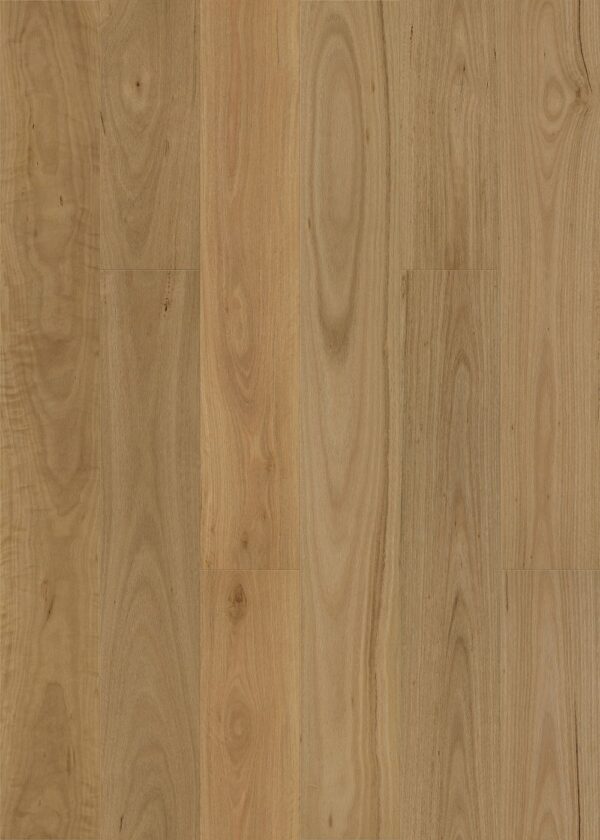 Wonderwood 15mm Oak Brushed Blackbutt engineered timber flooring