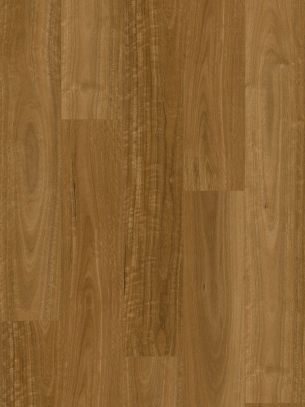 Wonderwood Sunshine Spotted Gum